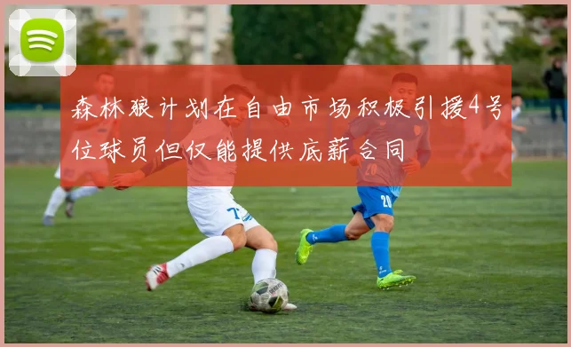 森林狼计划在自由市场积极引援4号位球员但仅能提供底薪合同