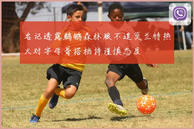 名记透露鹈鹕森林狼不追莫兰特热火对字母哥搭档持谨慎态度
